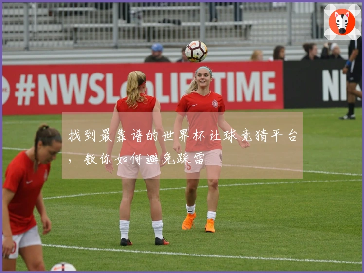 找到最靠谱的世界杯让球竞猜平台，教你如何避免踩雷