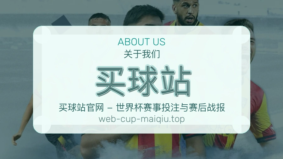 关于 买球站 团队与服务